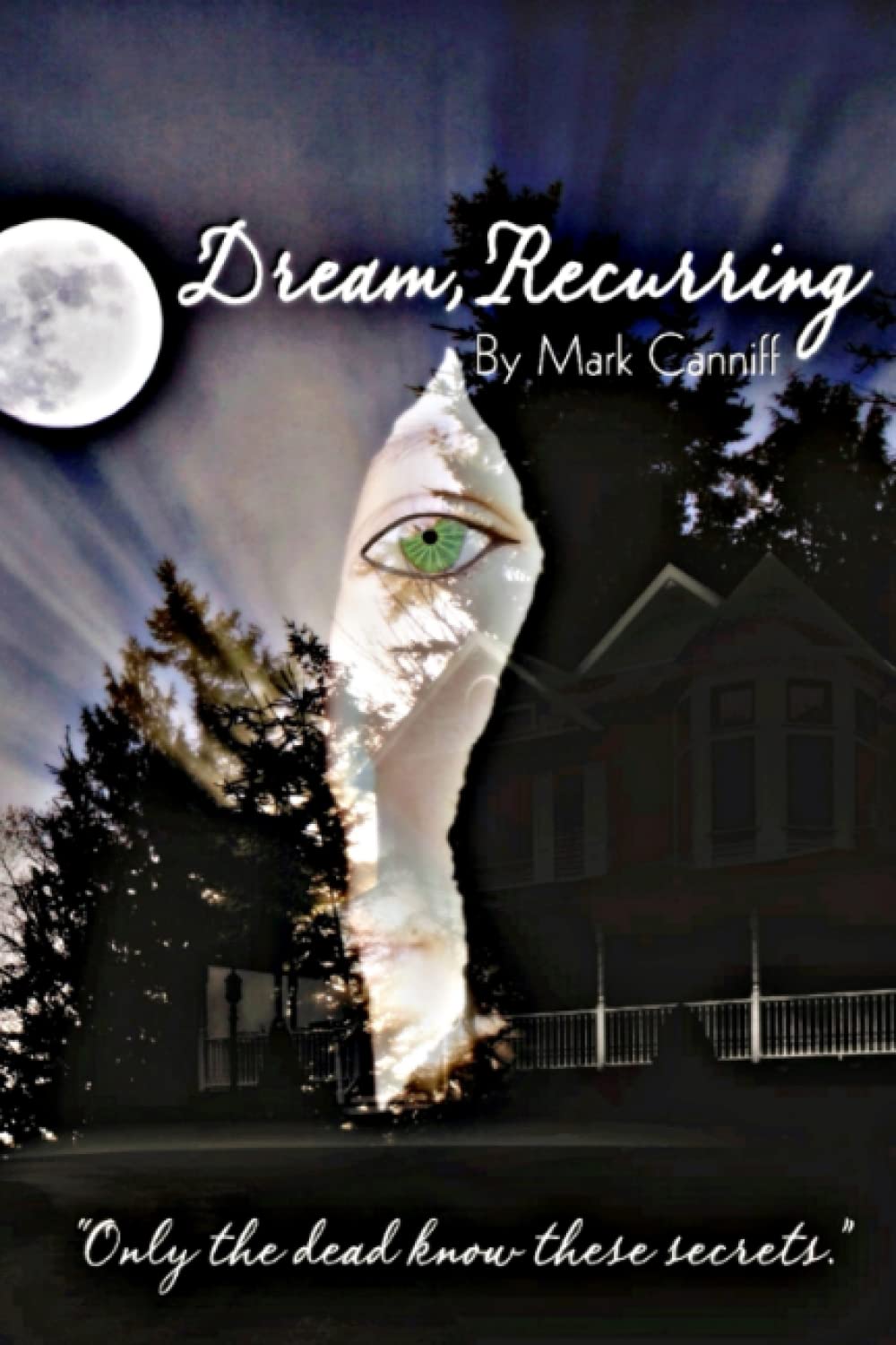 Dream, Recurring (Island River Tales) poster