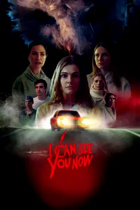I Can See You Now poster