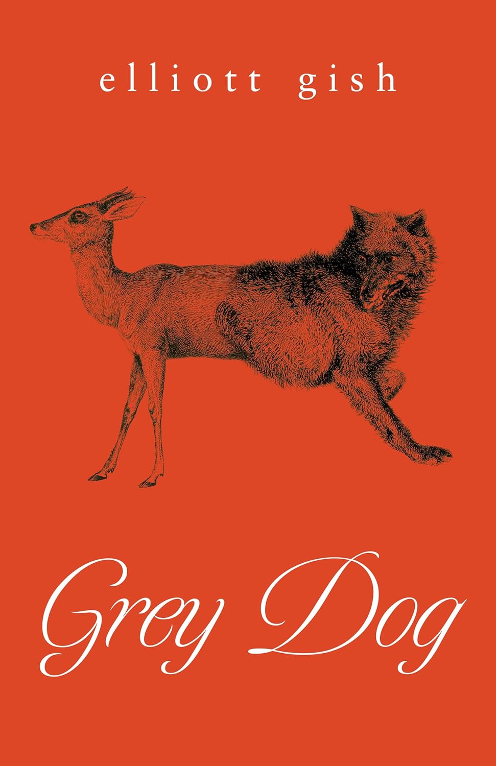 Grey Dog poster