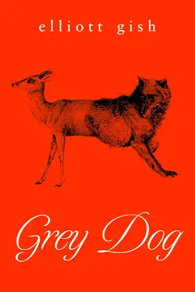 Grey Dog poster