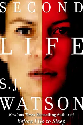 Second Life: A Novel poster