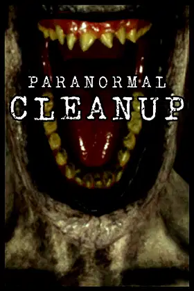 Paranormal Cleanup poster