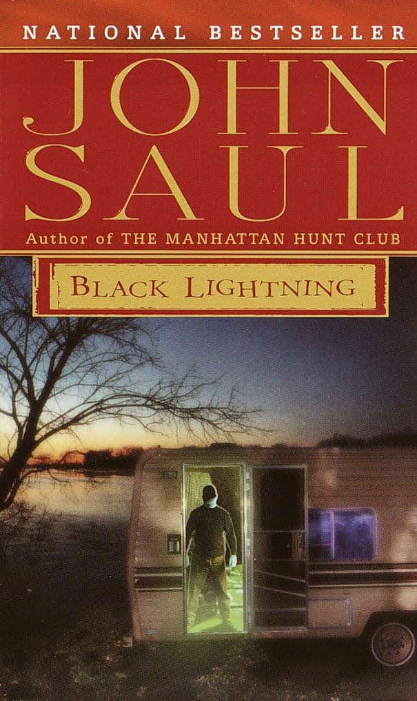 Black Lightning: A Novel poster