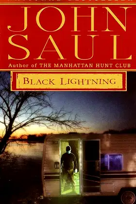 Black Lightning: A Novel poster