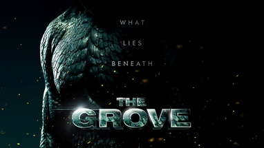 THE GROVE | OFFICIAL TEASER poster