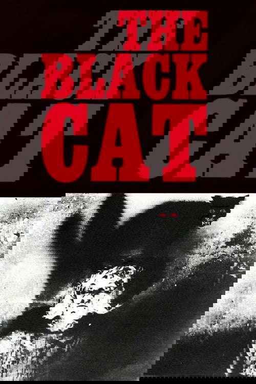 The Black Cat poster