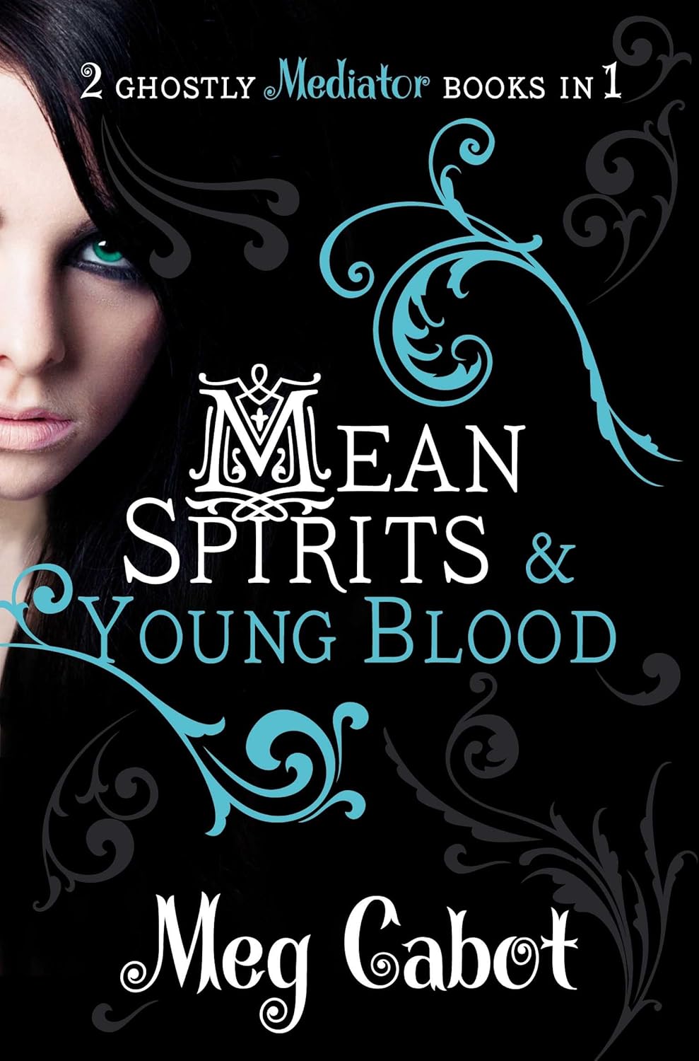 The Mediator: Mean Spirits and Young Blood poster