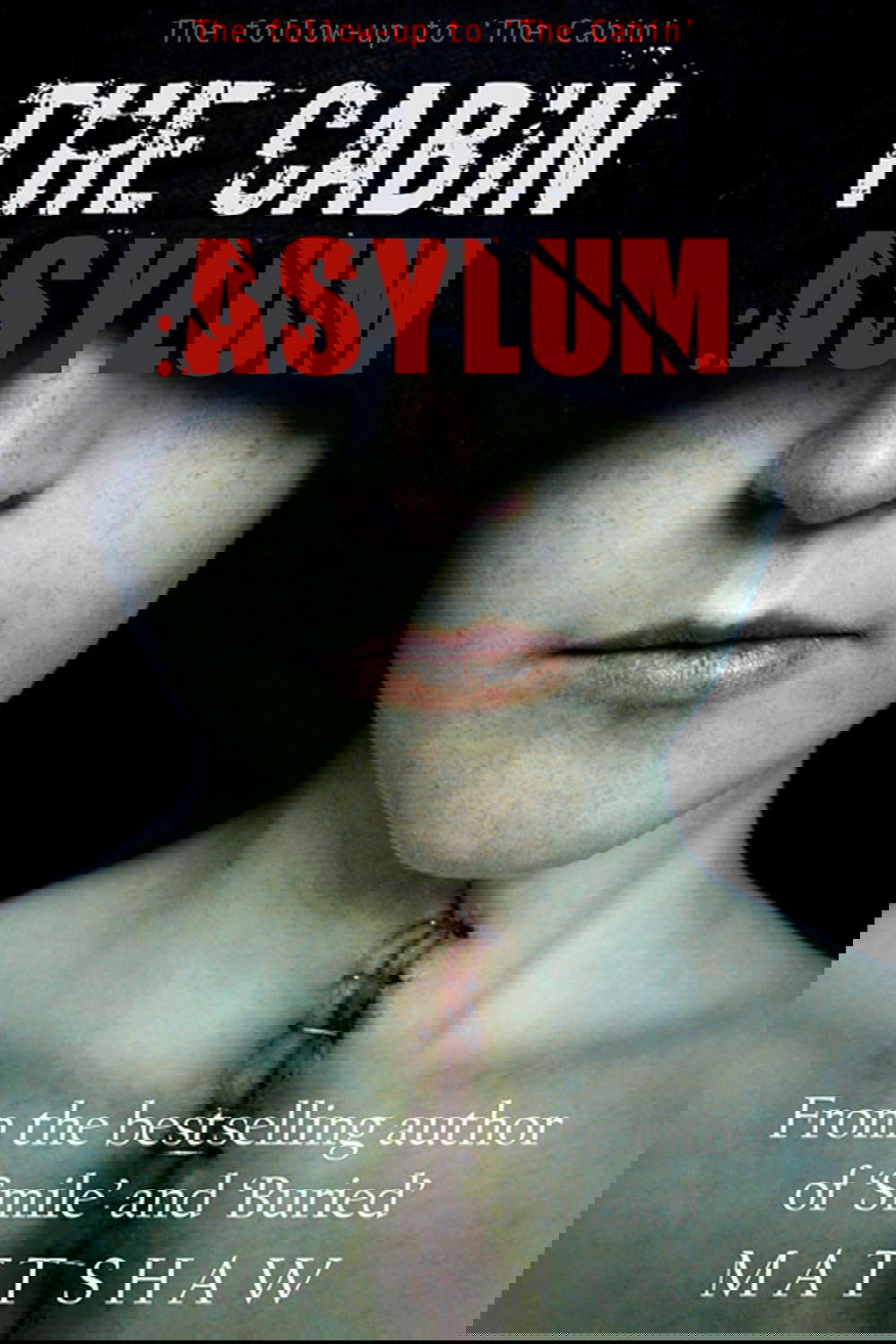The Cabin II: Asylum poster