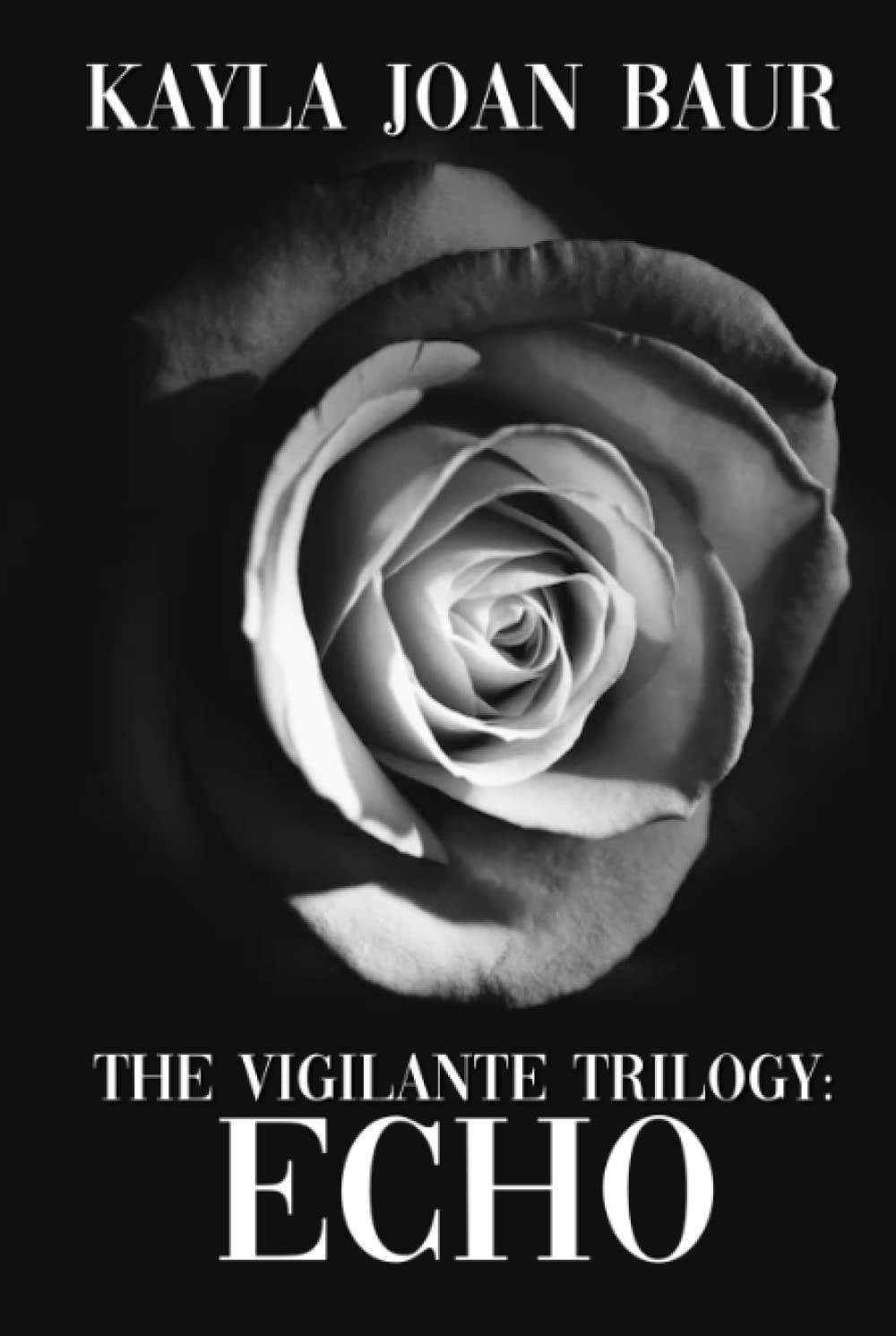 The Vigilante Trilogy: Echo poster