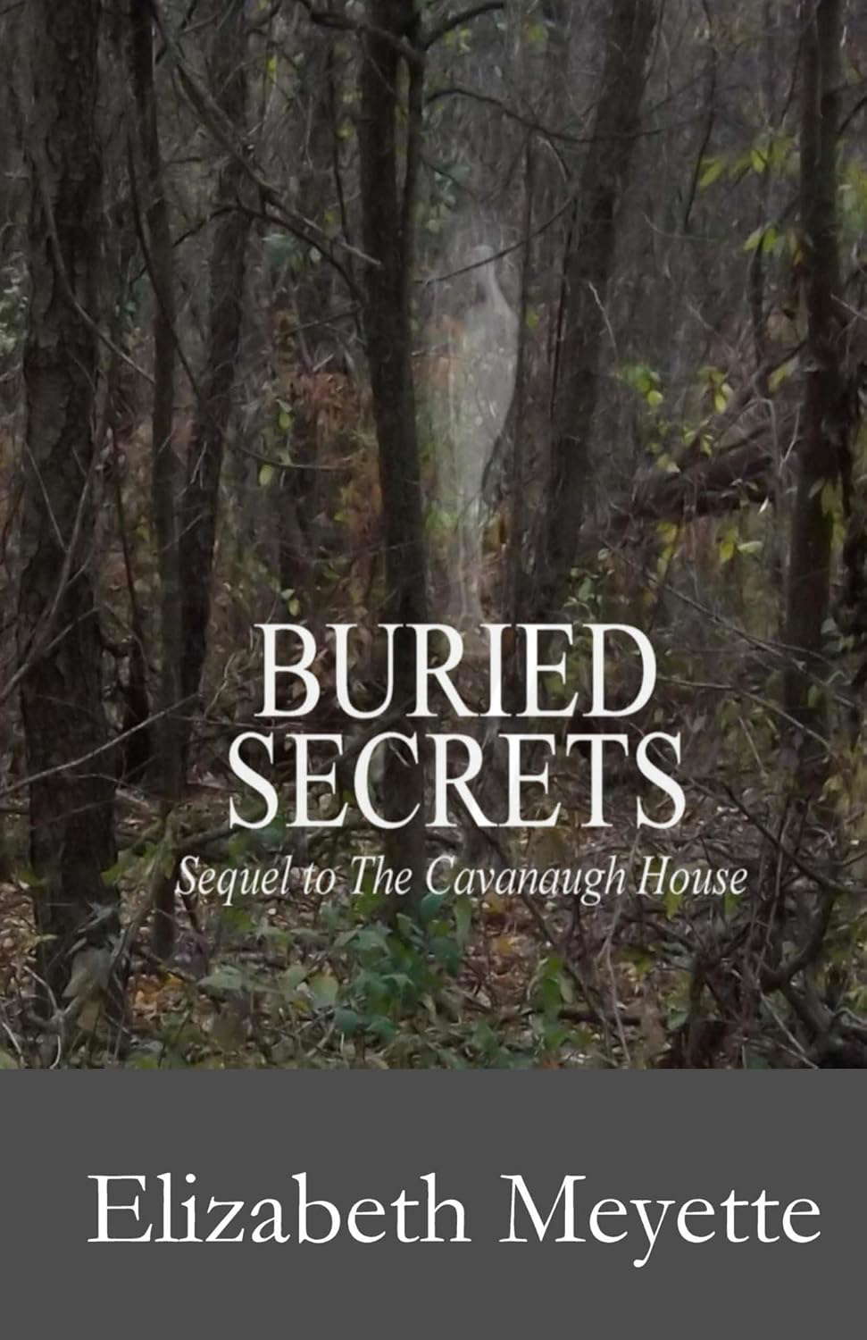 Buried Secrets: A Ghost Mystery (Finger Lakes Mysteries Book 2) poster
