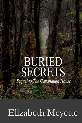 Buried Secrets: A Ghost Mystery (Finger Lakes Mysteries Book 2) poster