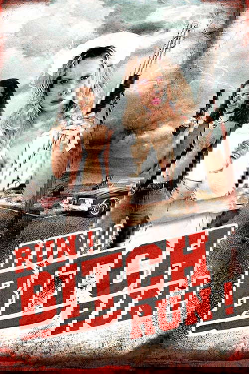 Run! Bitch Run! poster