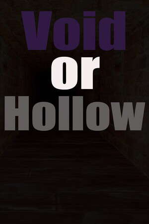 Void or Hollow poster