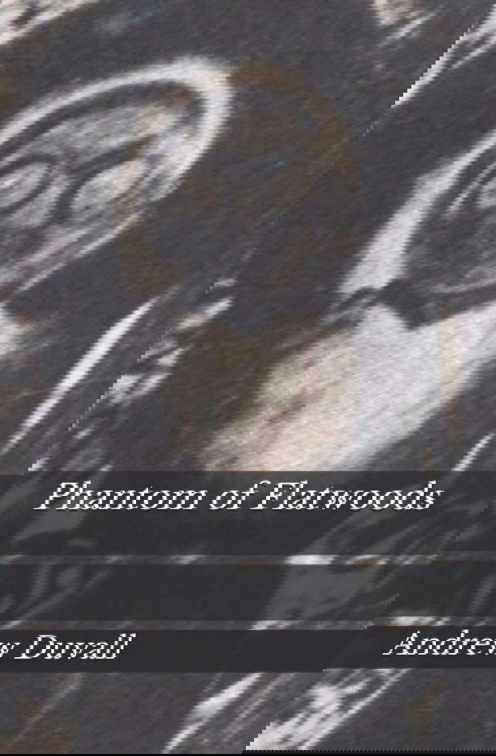 Phantom of Flatwoods poster