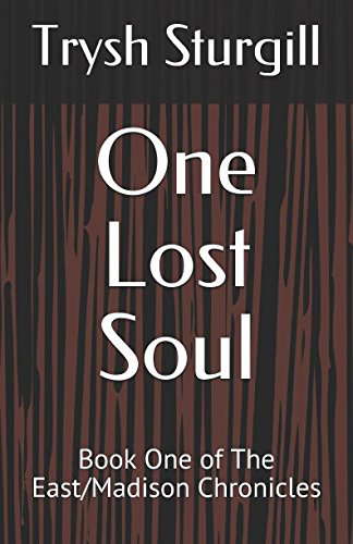 One Lost Soul: Book One of The East/Madison Chronicles poster