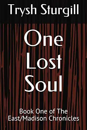 One Lost Soul: Book One of The East/Madison Chronicles poster