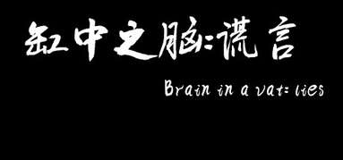 缸中之脑：谎言（Brain in a vat lies） capsule