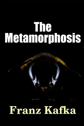The Metamorphosis poster