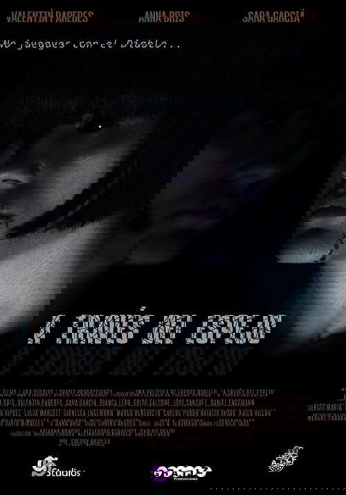 Through the Mirror poster