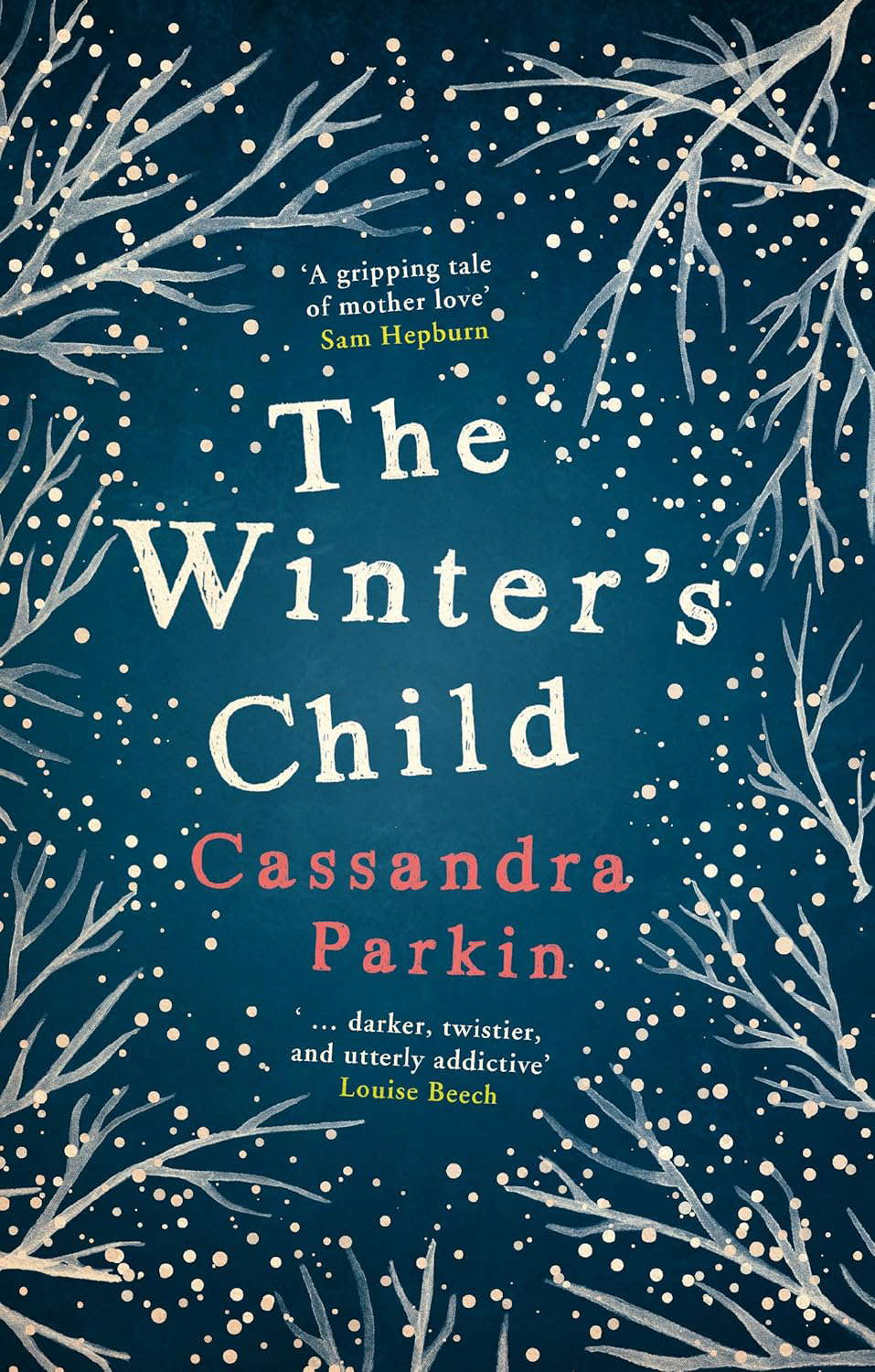 The Winter's Child poster