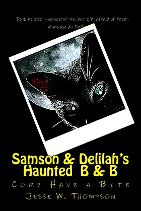 Samson & Delilah's Haunted B & B poster