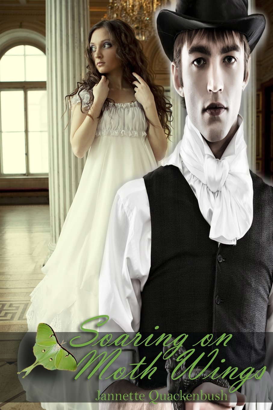 Soaring on Moth Wings poster