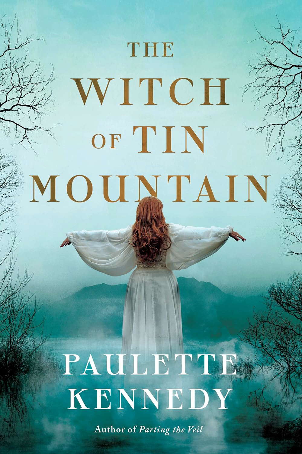 The Witch of Tin Mountain poster