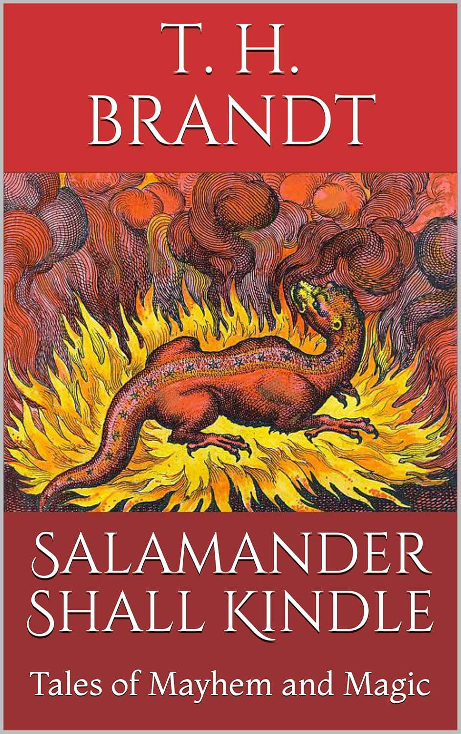 Salamander Shall Kindle: Tales of Mayhem and Magic poster