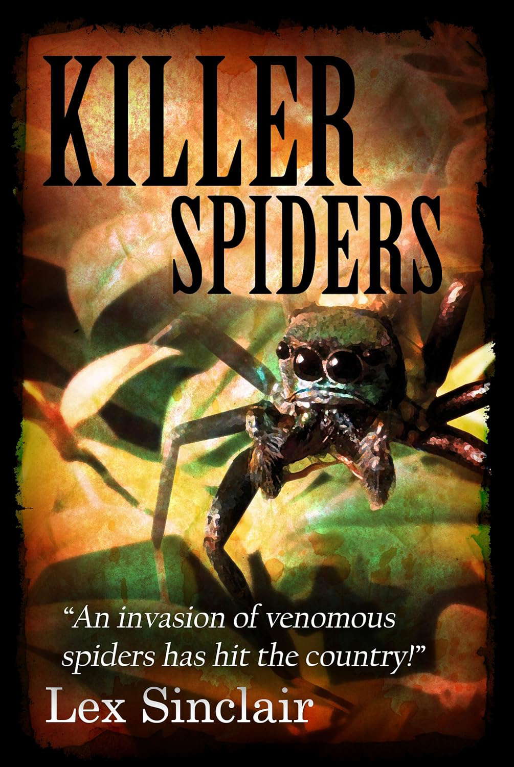 Killer Spiders poster