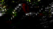 episode poster