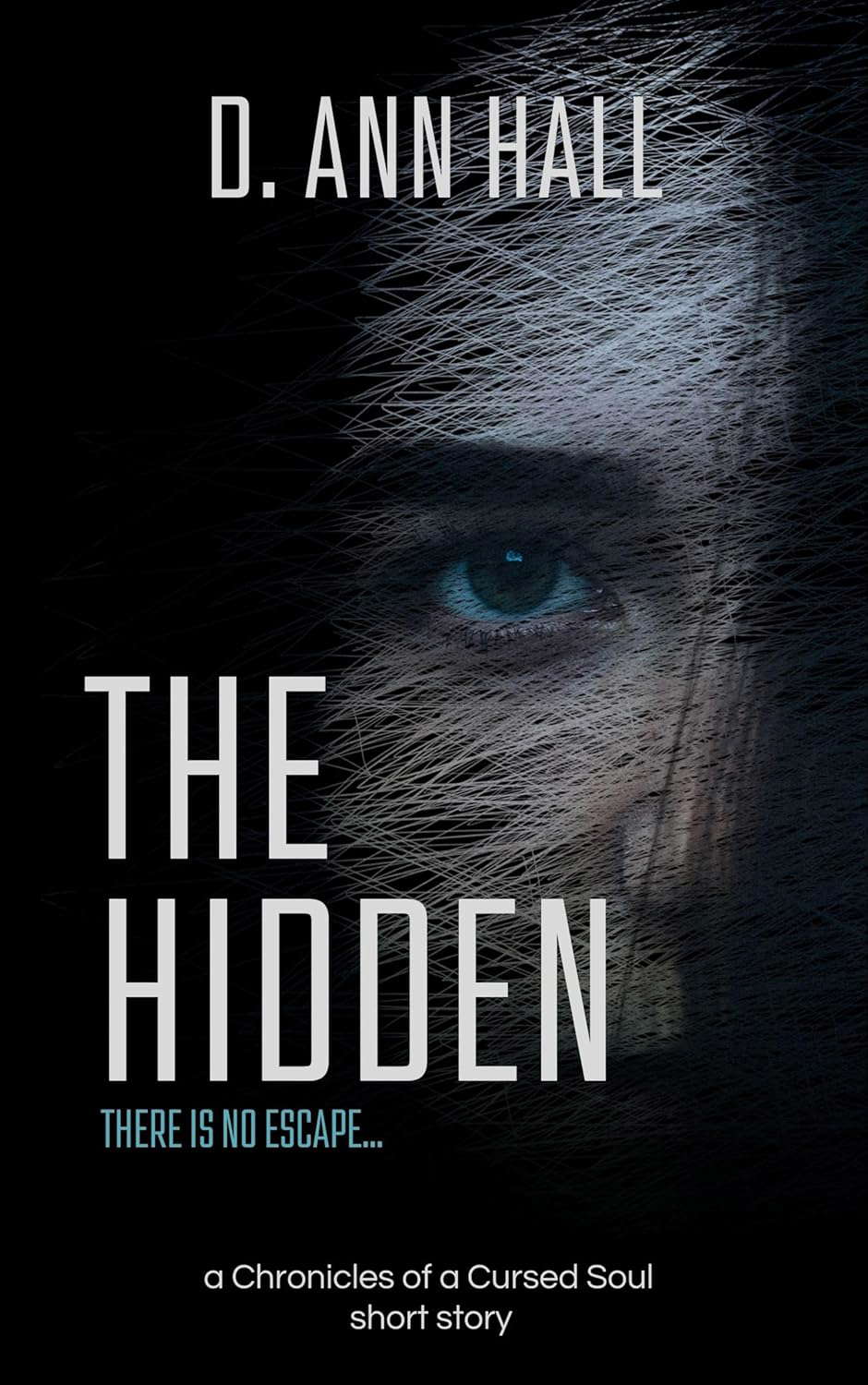 The Hidden: a Chronicles of a Cursed Soul short story poster