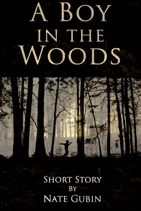 A Boy in the Woods poster