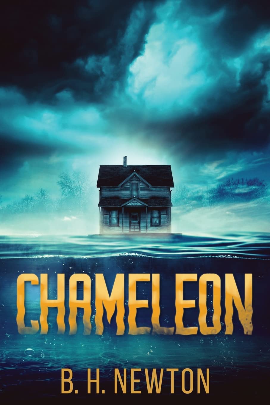 Chameleon poster
