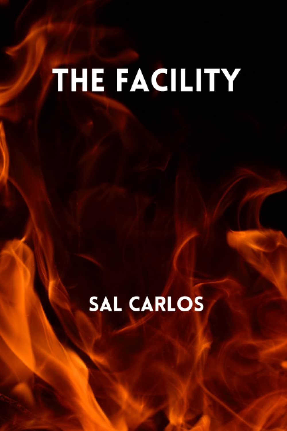 The Facility: A Short Story poster
