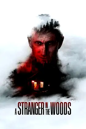 A Stranger in the Woods poster