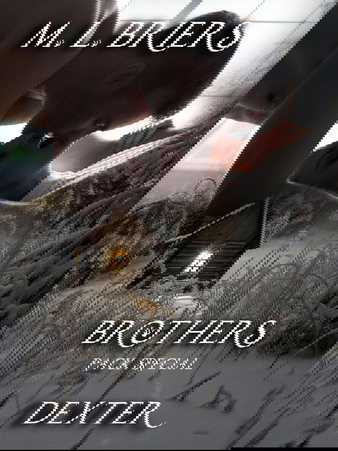 Brothers- Pack Special- Dexter (Book Seven) poster