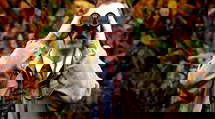 episode poster