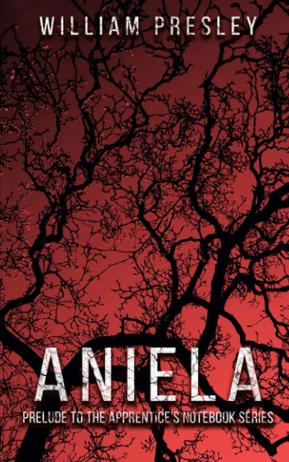 ANIELA: Prelude to the Apprentice's Notebook Series poster
