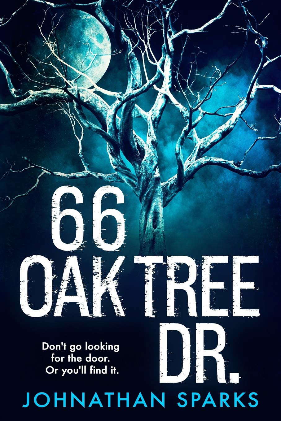 66 OakTree Dr. poster