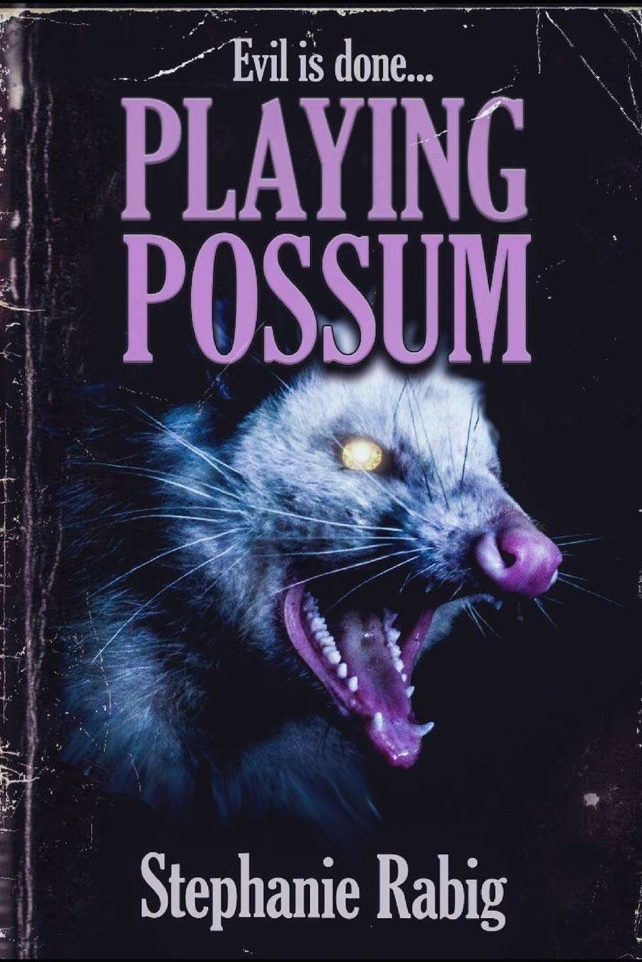 Playing Possum poster
