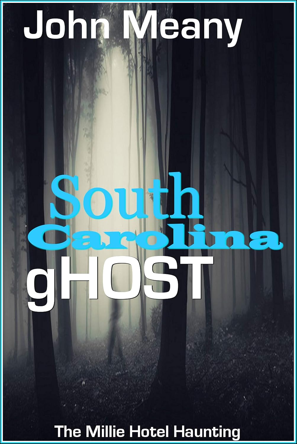 South Carolina Ghost (Supernatural Short Story) poster