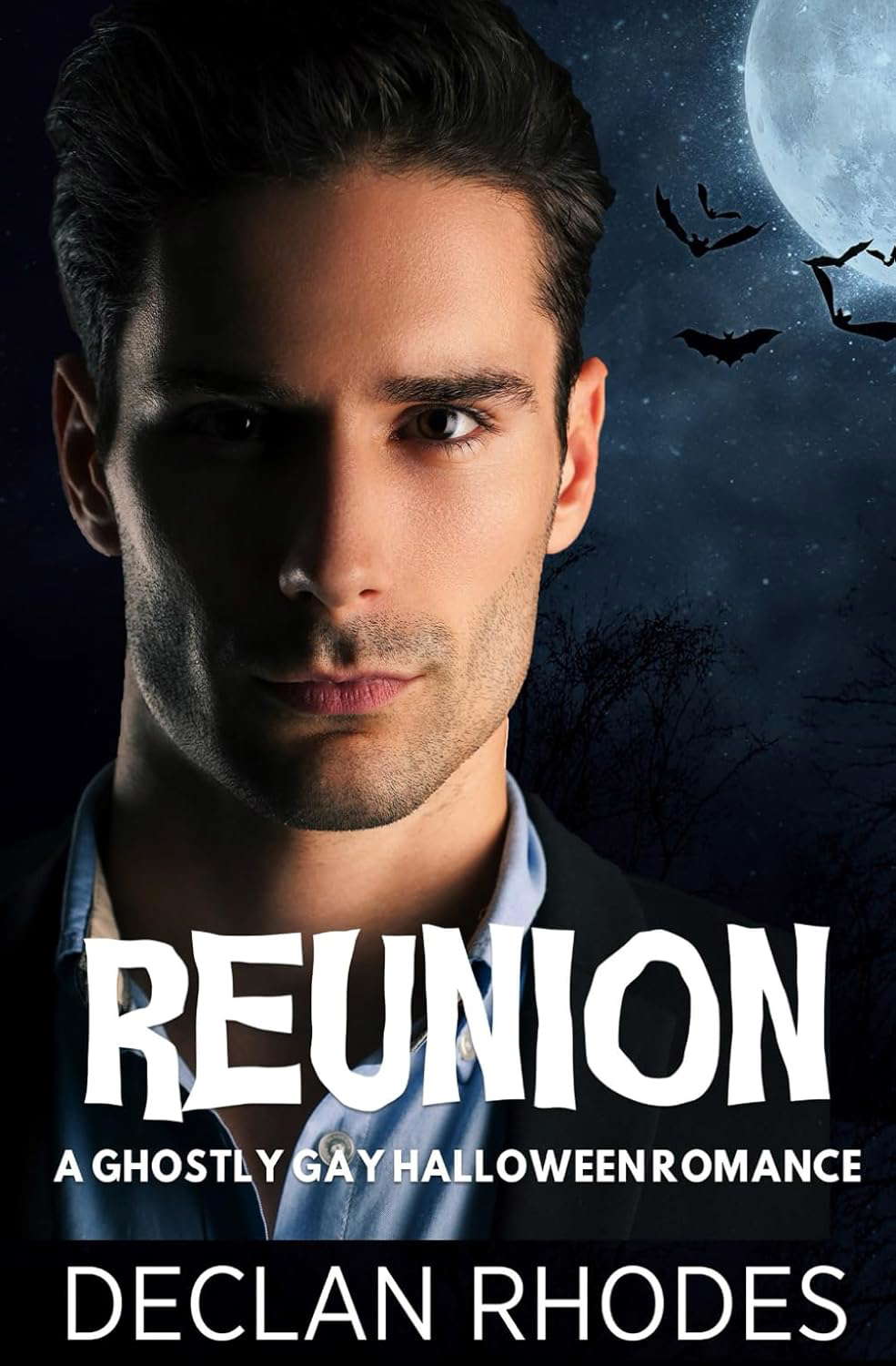 Reunion: A Ghostly Gay Halloween Romance poster