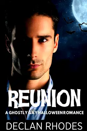 Reunion: A Ghostly Gay Halloween Romance poster