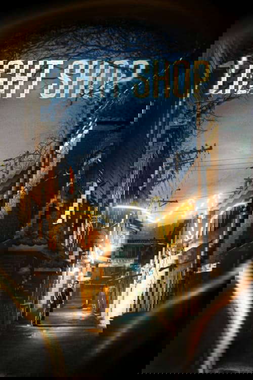 Light Shop poster