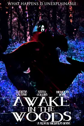 Awake In The Woods poster