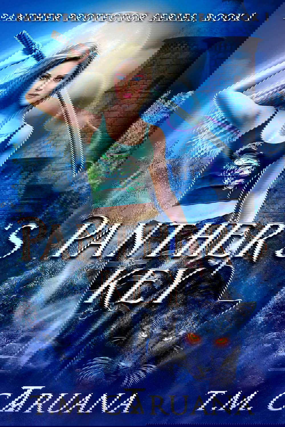 Panther's Key (The Panther Protector Series Book 1) poster