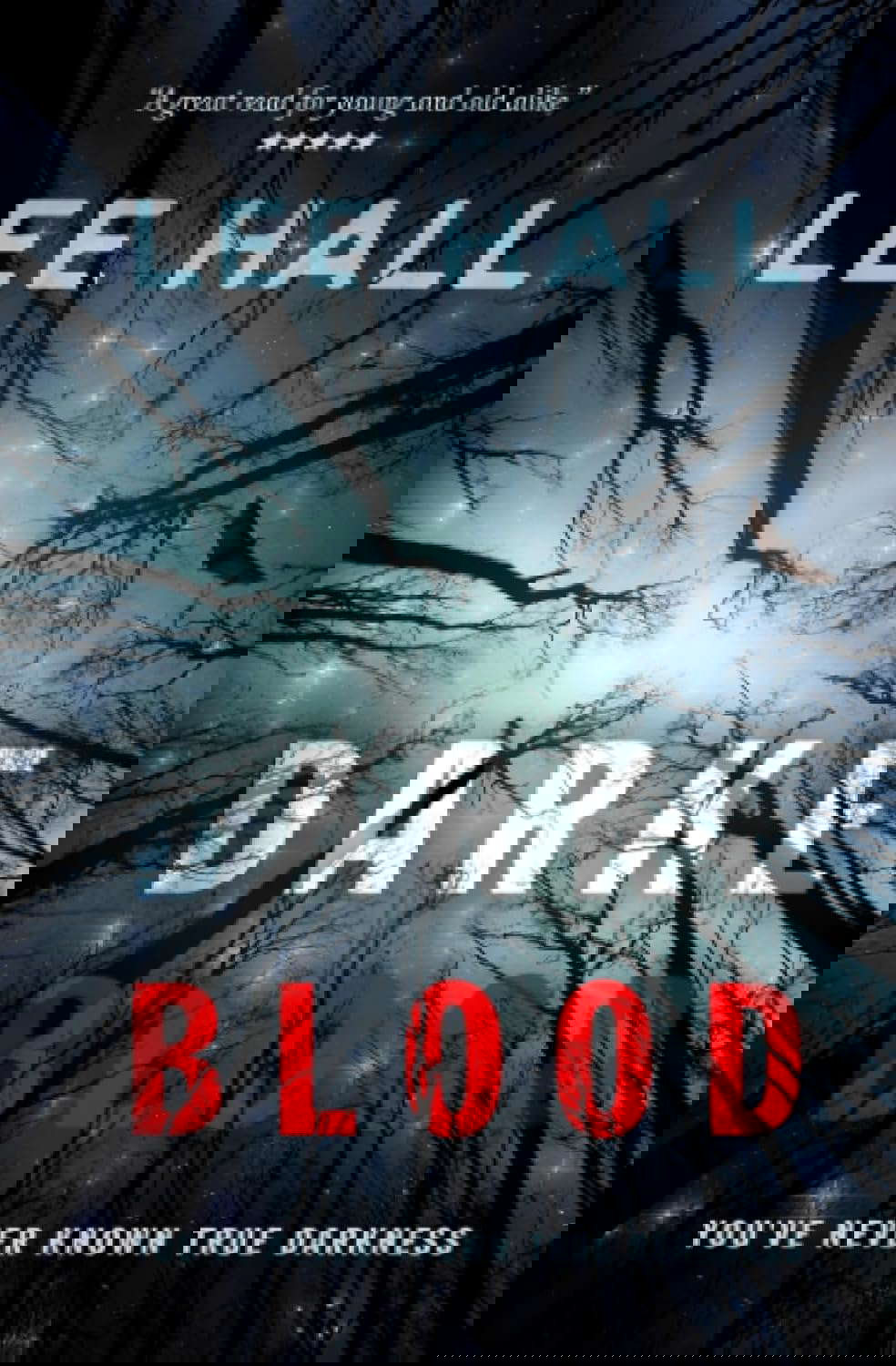 Darke Blood: You've Never Known True Darkness poster