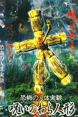 Terrifying Human Experiment: Cursed Straw Doll poster