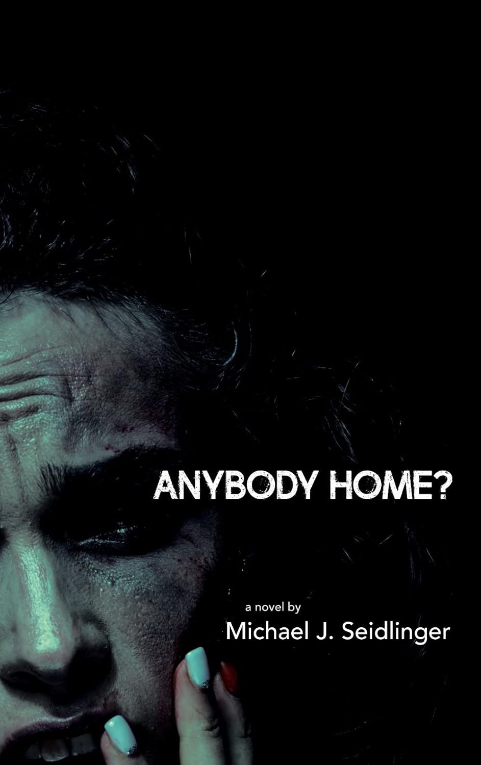 Anybody Home? poster