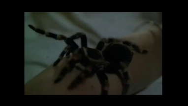 Kiss Of The Tarantula - Trailer 1976 poster